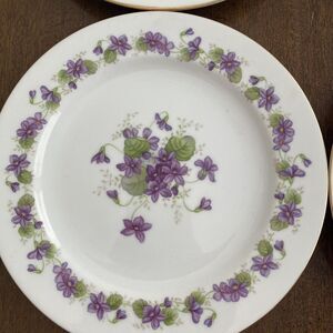 Wentworth China Printemps‎ 7.5" Round Salad Plates Set of 5 1950's